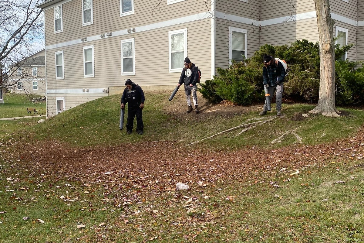 Leaf Cleanup & Seasonal Cleanups by Timberline Outdoor Services